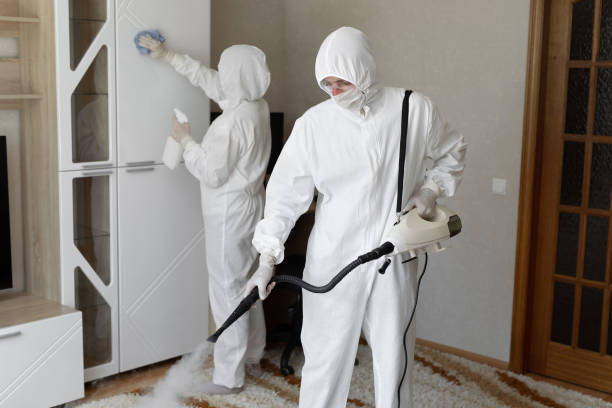Best Toxic Mold Removal  in Somerville, MA